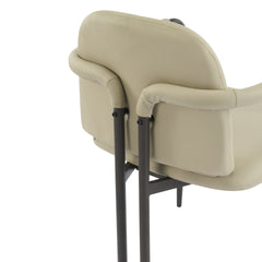 Dinning Chair with iron frame-Set of 2-Espresso+Khaki