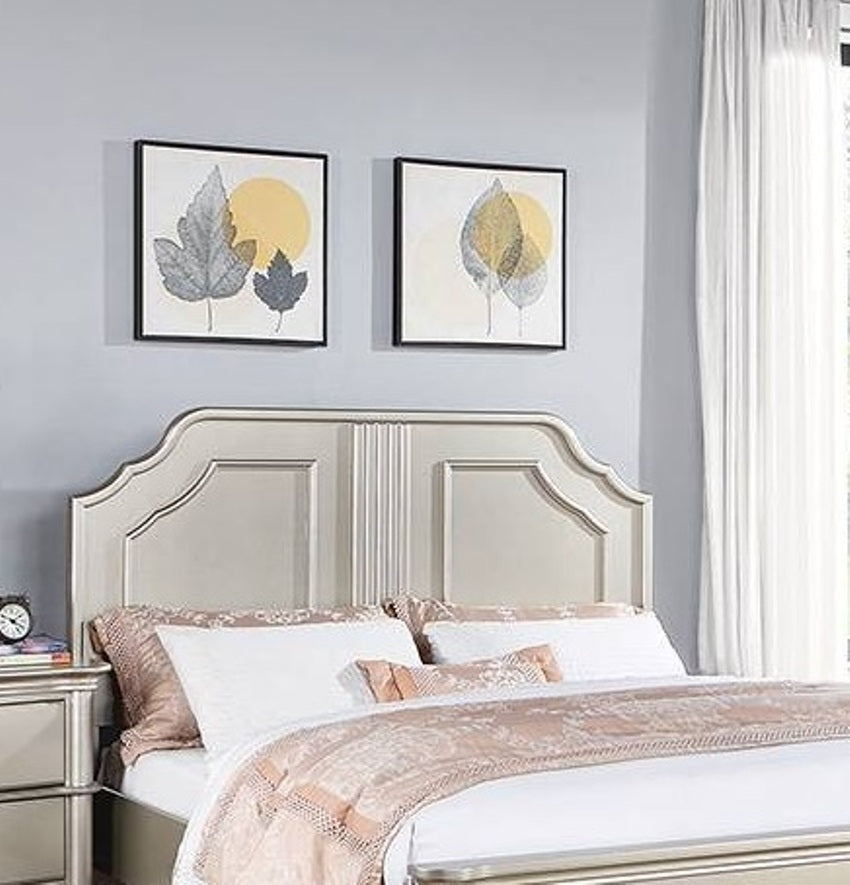 Traditional Style Queen Size Bed 1pc Two Panel Bed Silver Finish Bedroom Furniture
