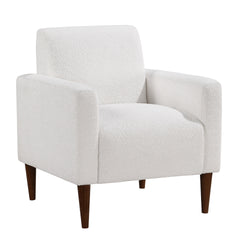 Caius Modern Arm Chair