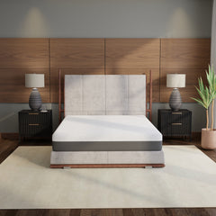 Omne Fria 10 Inch Queen Medium Firm Mattress With Cooling Cover