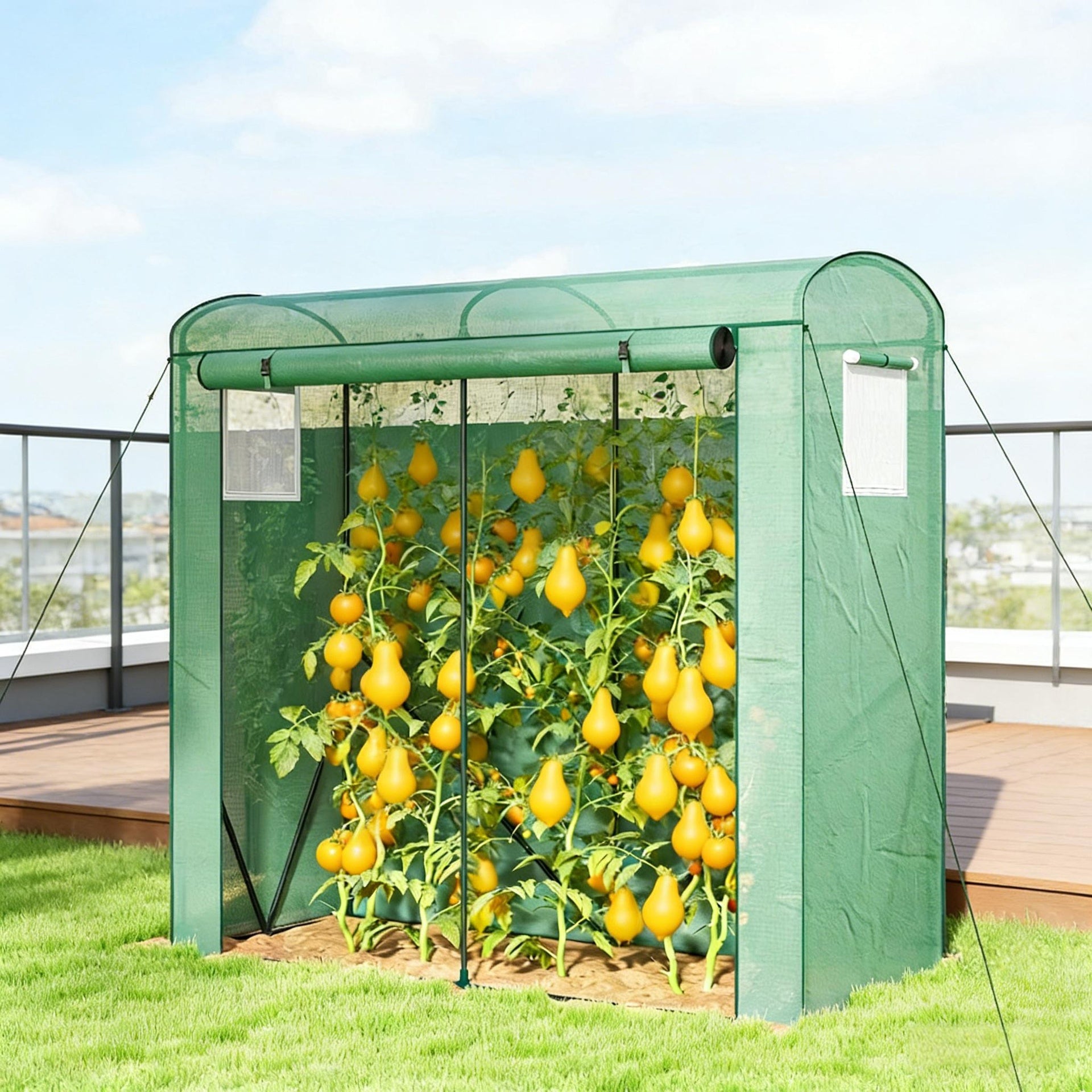 Stable Greenhouse,Mini Greenhouse