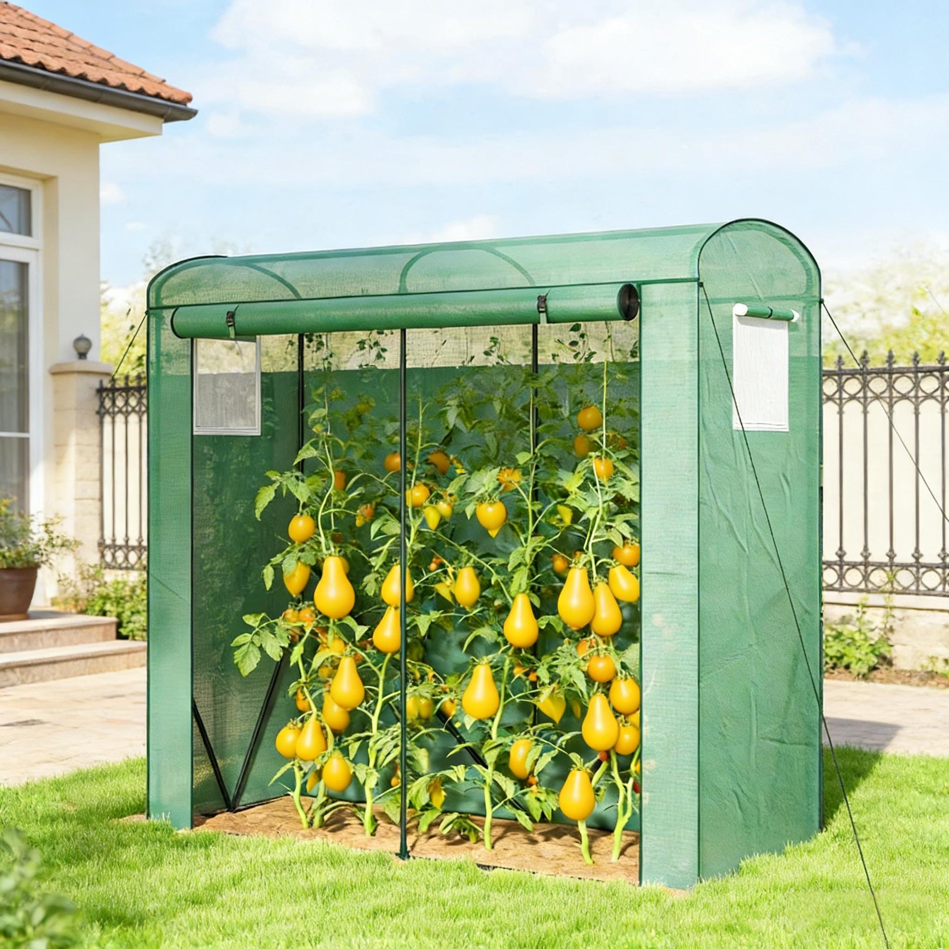 Stable Greenhouse,Mini Greenhouse