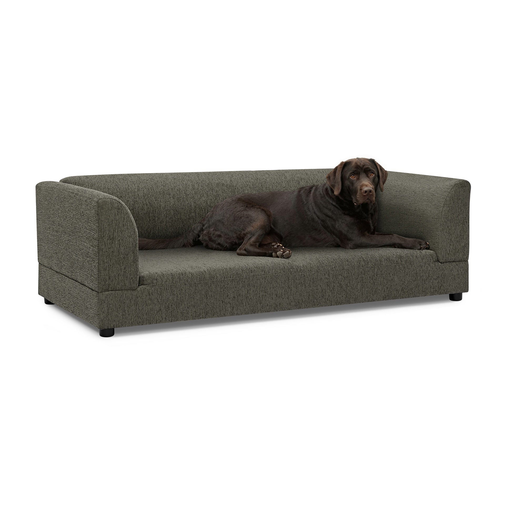 Comfortable Oversized Pet Sofa for Medium/Large Dogs - Modern Rectangular Design with Backrest, Armrests & Soft Cushion -Dark Gray(56.5"*26"*17")