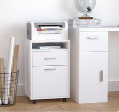 Mobile Storage Cabinet Organizer