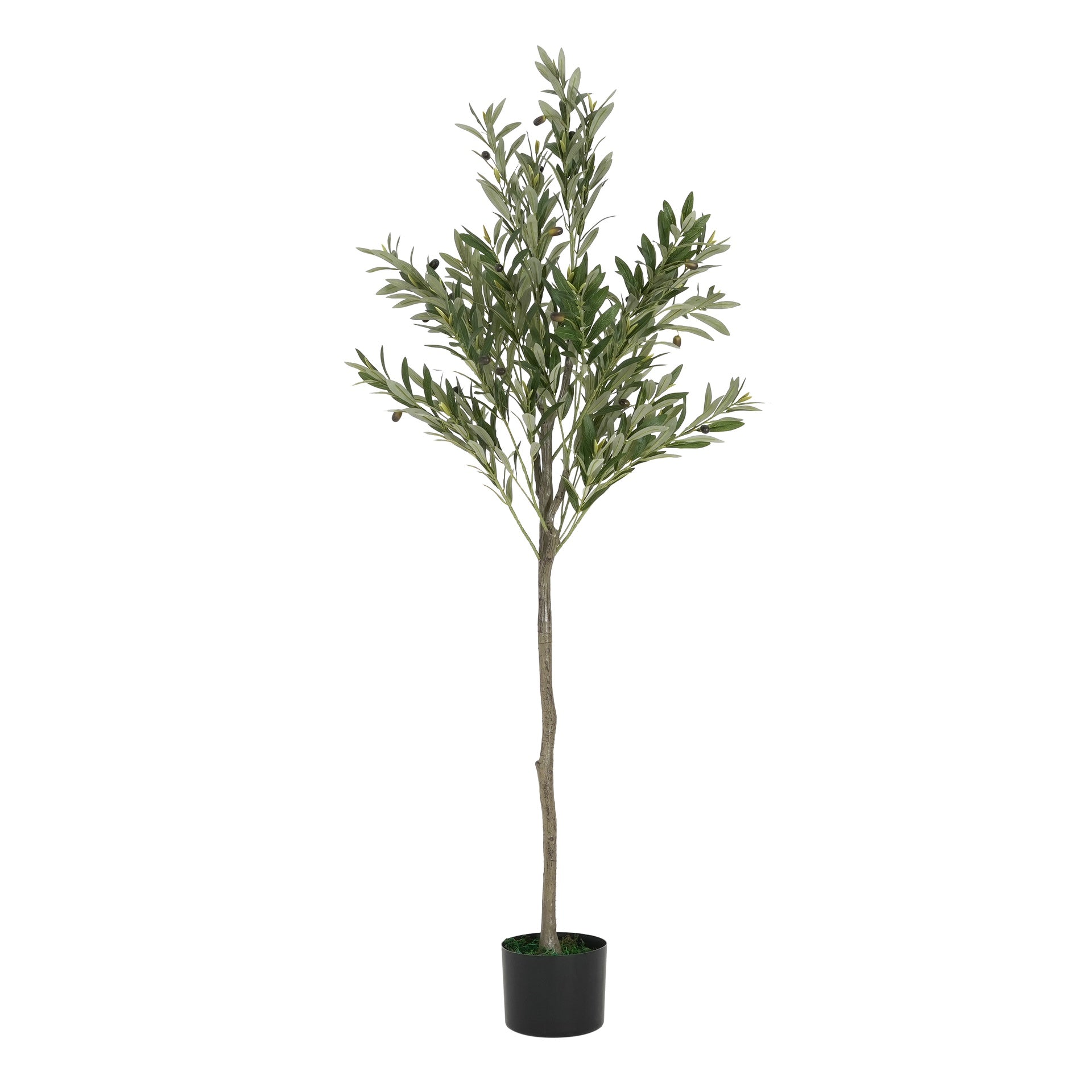 66" Artificial Olive Tree with Black Plastic Pot