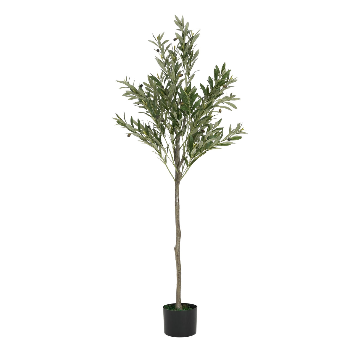 66" Artificial Olive Tree with Black Plastic Pot