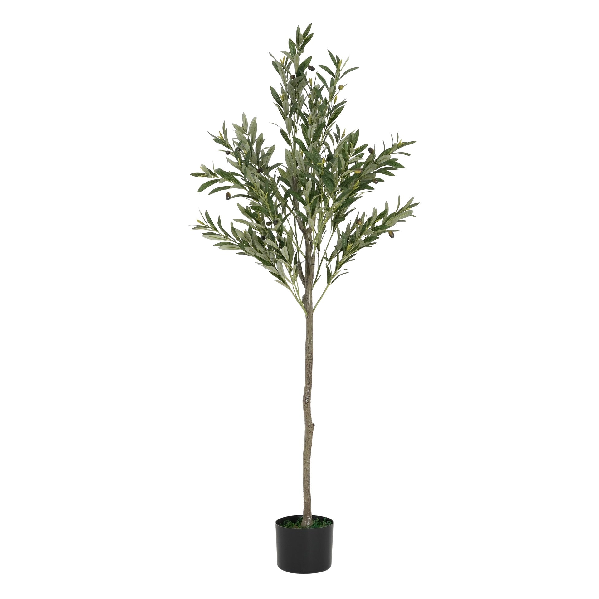 66" Artificial Olive Tree with Black Plastic Pot