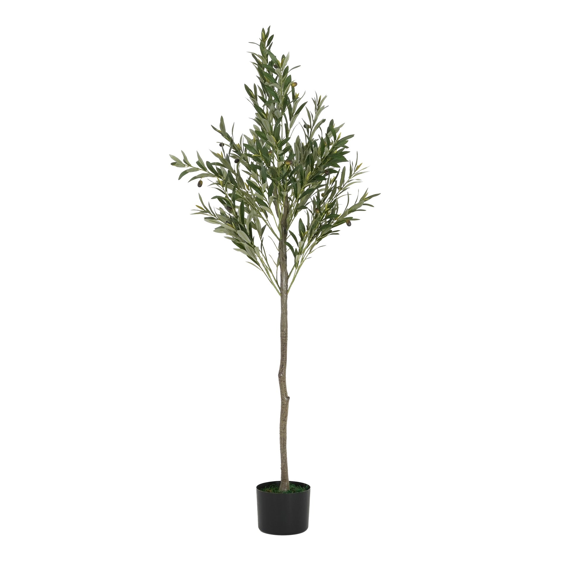 66" Artificial Olive Tree with Black Plastic Pot