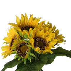 Set of 3, 14x14x15" Sunflower Bundle X7