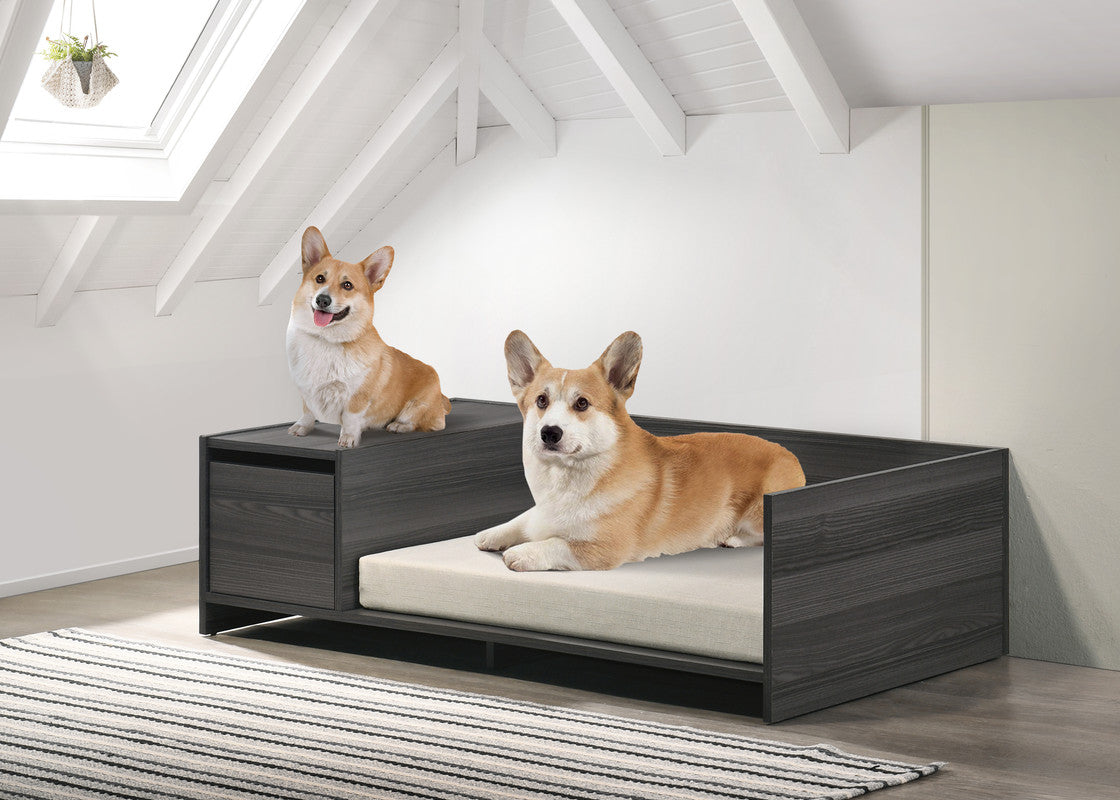 Enrica Ash Gray 47"W Modern Comfy Pet Bed with Cushion and Side Storage Compartment
