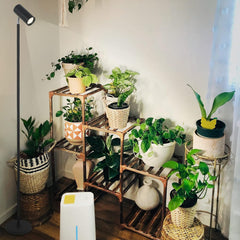 Grow Lights Stand for Indoor Plants Full Spectrum Tall Plant Light for Indoor Growing with 20W COB Plant Light Bulb,4/8/12H Timer, Led Growth Floor Lamp for Large Plant Seedling(6 Level Height)