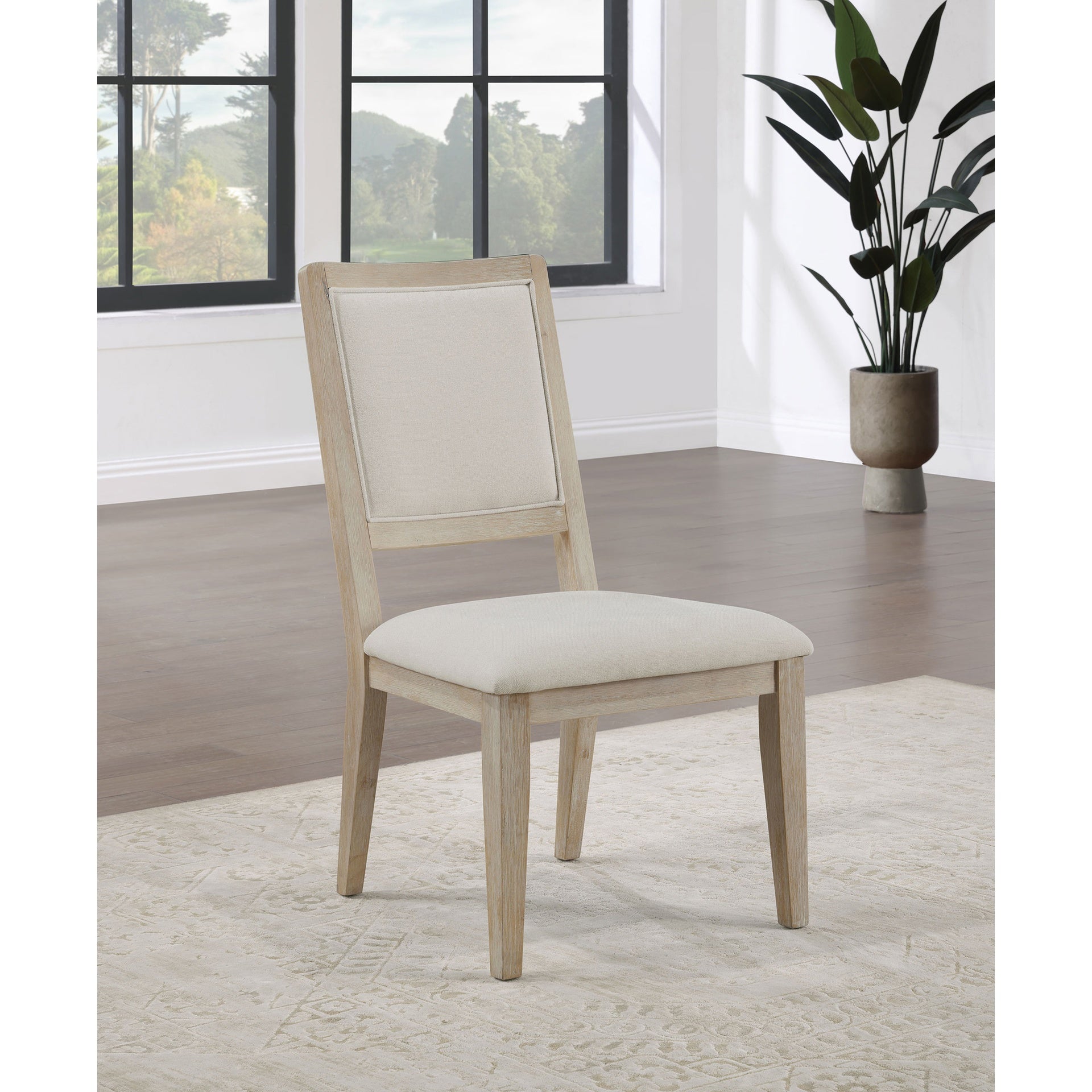Verdugo White Washed Cushioned Dining Side Chair (Set of 2)