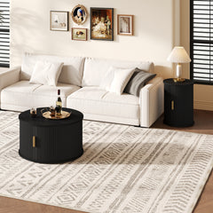 [Assembly Video] Mid-Century Coffee Table Set with Sliding Tambour Door, Round Fluted End Table With Storage, Golden Handle Tall & Low Side Table with Wooden Finish for Living Room, Set of Two, Black