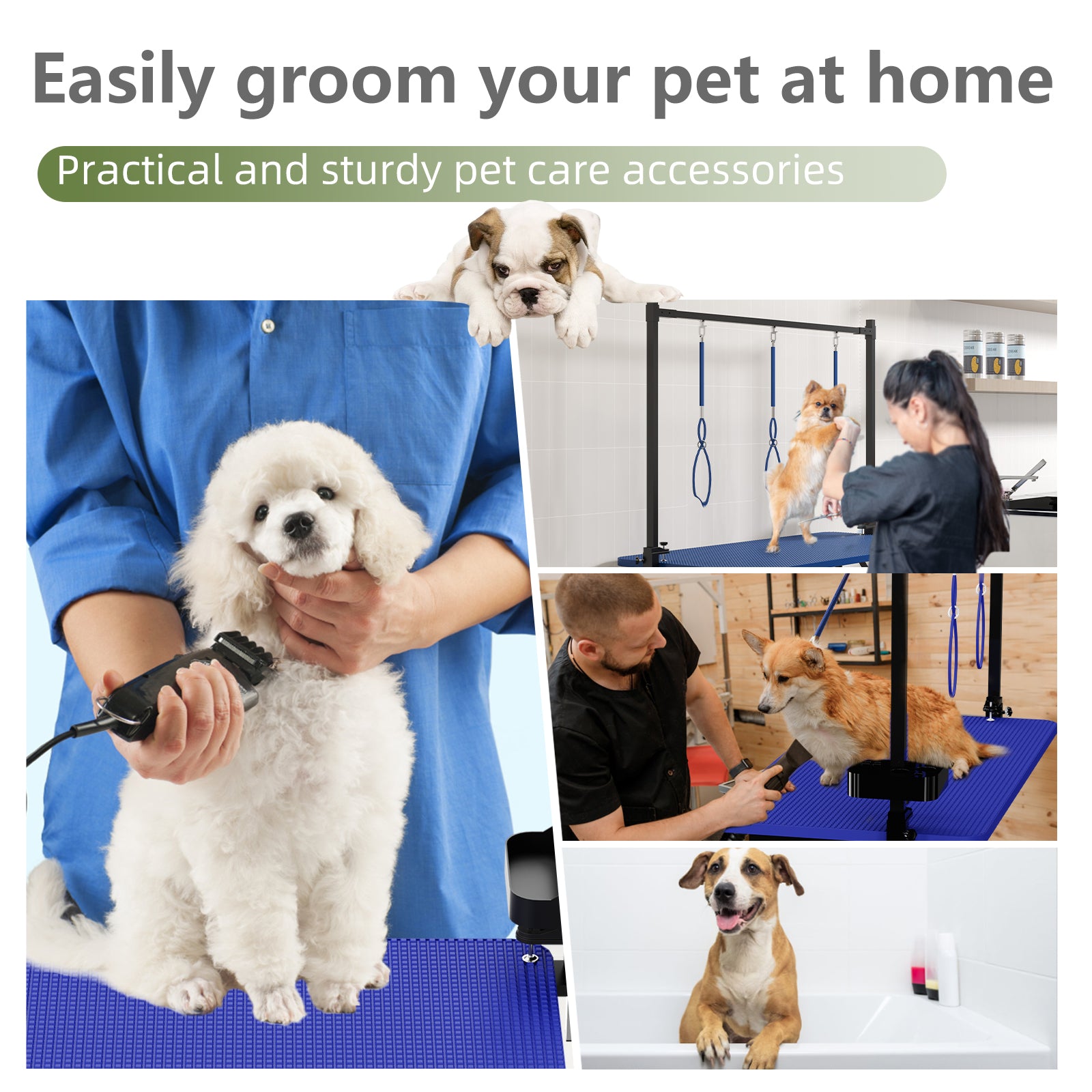 47'' Blue Large Dog Grooming Table X-Lift Foldable Grooming Table for Dogs at Home Adjustable Height Arms Pet Station with Nooses, Tool Organizer