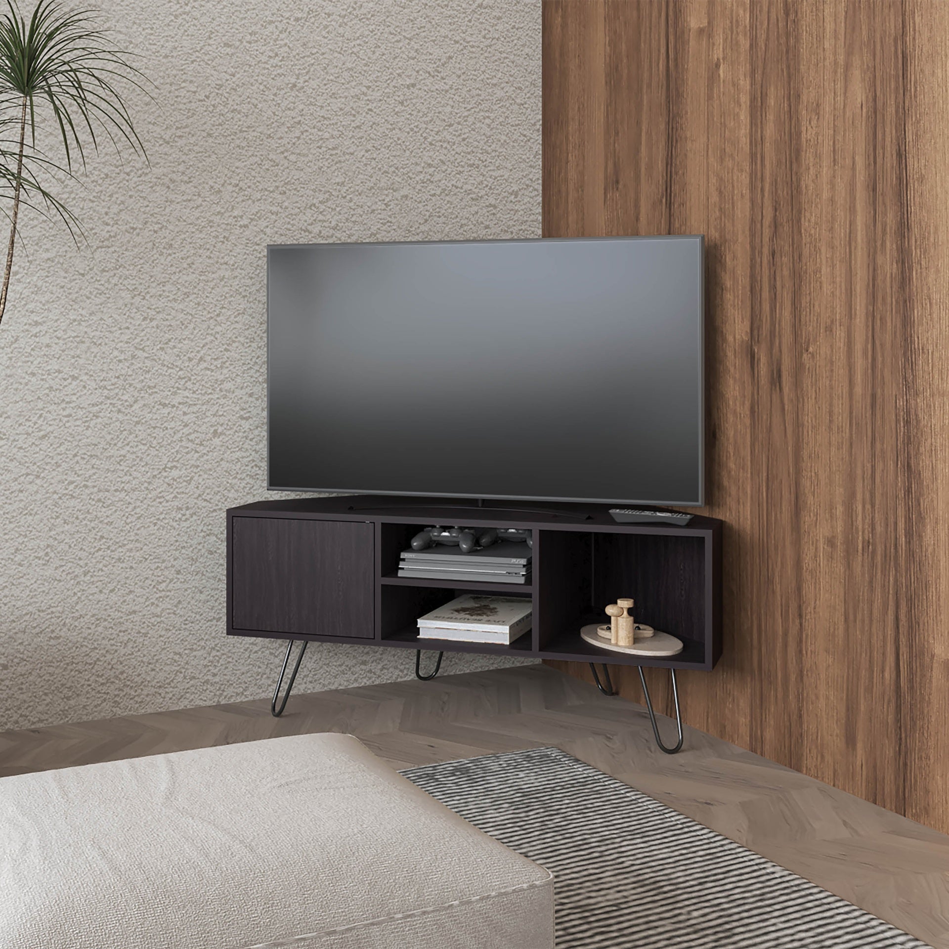 Wengue 1-Door TV Stand with Open Storage