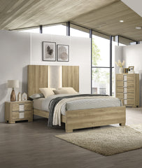 1pc Contemporary Queen Panel Bed with Integrated Lighting Driftwood Finish