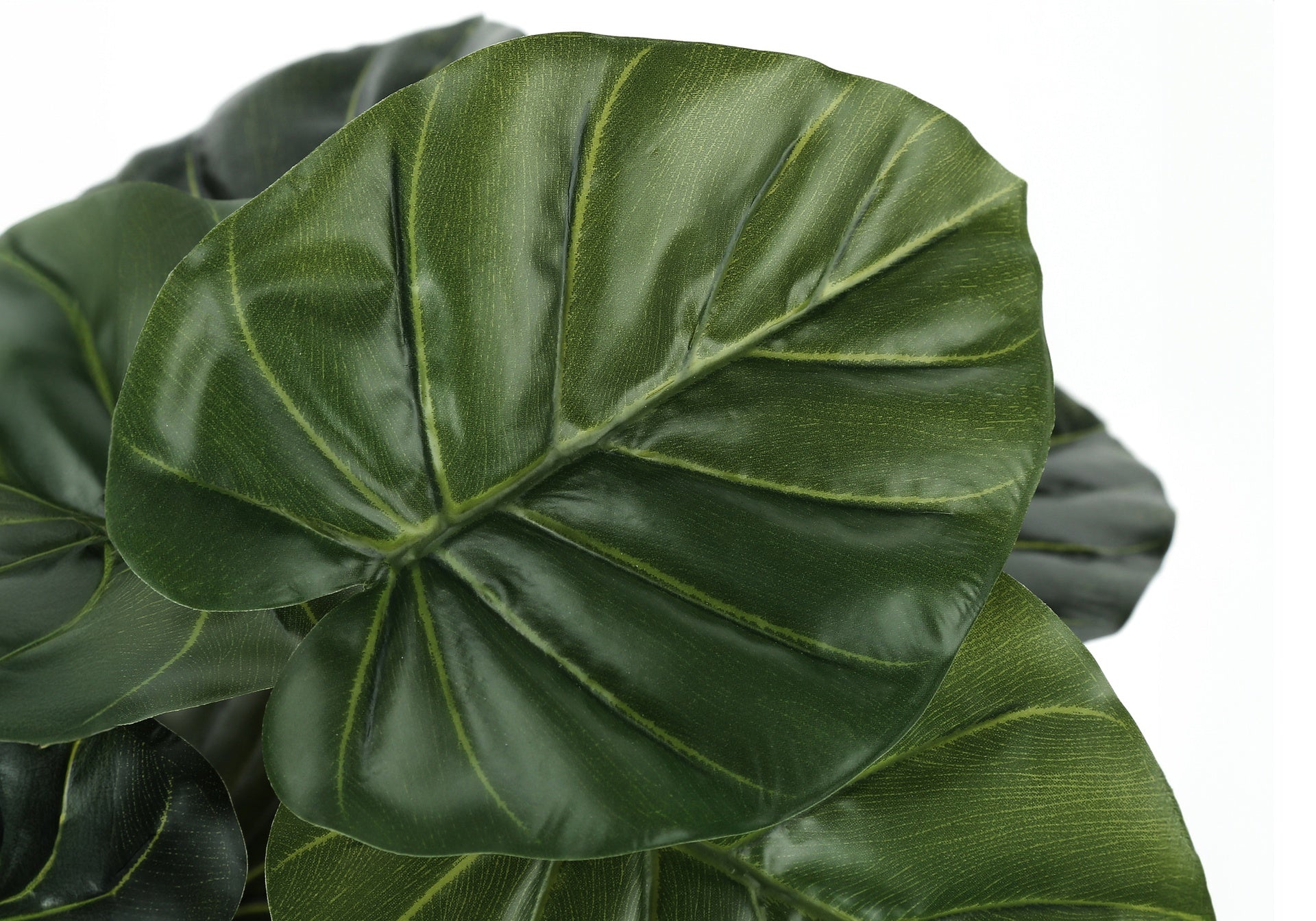 Artificial Plant, 24" Tall, Alocasia, Indoor, Faux, Fake, Table, Greenery, Potted, Real Touch, Decorative, Green Leaves, Black Pot