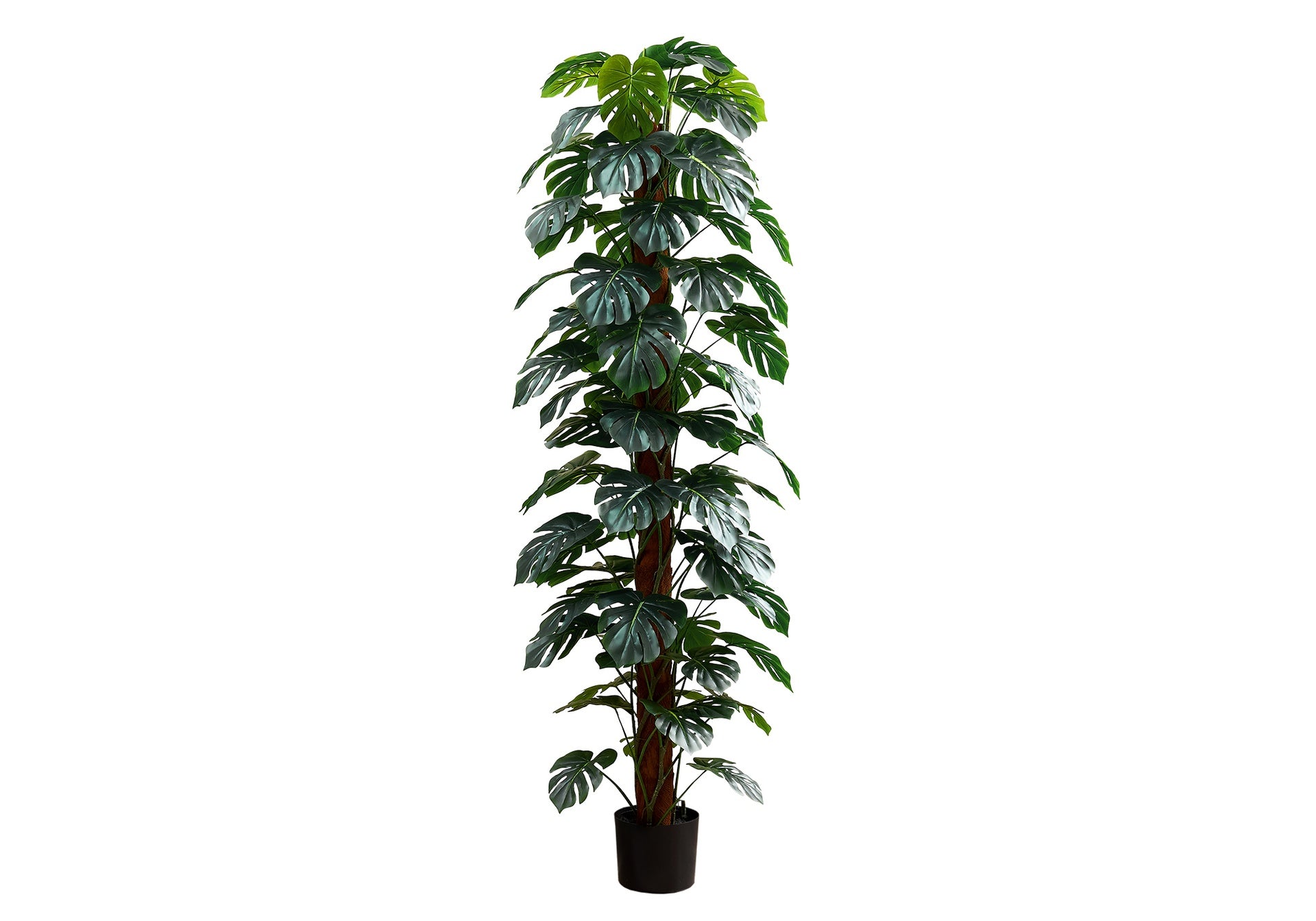 Artificial Plant, 83" Tall, Monstera Tree, Floor, Indoor, Decorative, Green Leaves, Black Pot