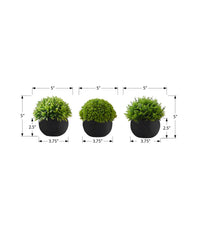 Artificial Plant, 5" Tall, Grass, Indoor, Faux, Fake, Table, Greenery, Potted, Set Of 3, Decorative, Green Plants, Black Pots