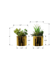 Artificial Plant, 7" Tall, Succulent, Indoor, Faux, Fake, Table, Greenery, Potted, Set Of 2, Decorative, Green Plants, Glossy Gold Pots