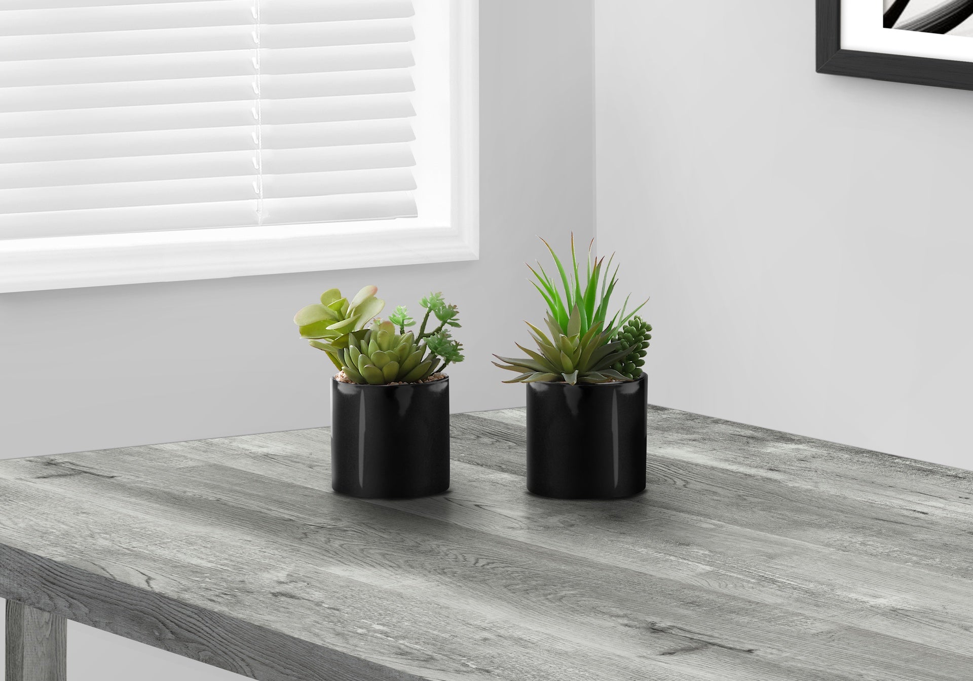 Artificial Plant, 7" Tall, Succulent, Indoor, Faux, Fake, Table, Greenery, Potted, Set Of 2, Decorative, Green Plants, Glossy Black Pots