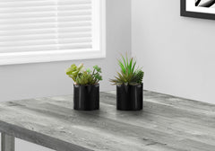 Artificial Plant, 7" Tall, Succulent, Indoor, Faux, Fake, Table, Greenery, Potted, Set Of 2, Decorative, Green Plants, Glossy Black Pots