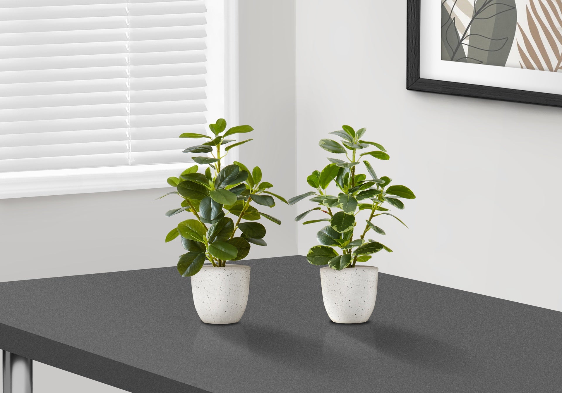 Artificial Plant, 14" Tall, Ficus, Indoor, Faux, Fake, Table, Greenery, Potted, Set Of 2, Decorative, Green Leaves, White Pots