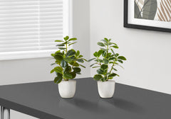 Artificial Plant, 14" Tall, Ficus, Indoor, Faux, Fake, Table, Greenery, Potted, Set Of 2, Decorative, Green Leaves, White Pots