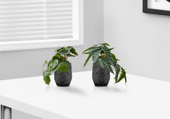 Artificial Plant, 8" Tall, Alocasia, Indoor, Faux, Fake, Table, Greenery, Potted, Set Of 2, Decorative, Green Leaves, Black Cement Pots