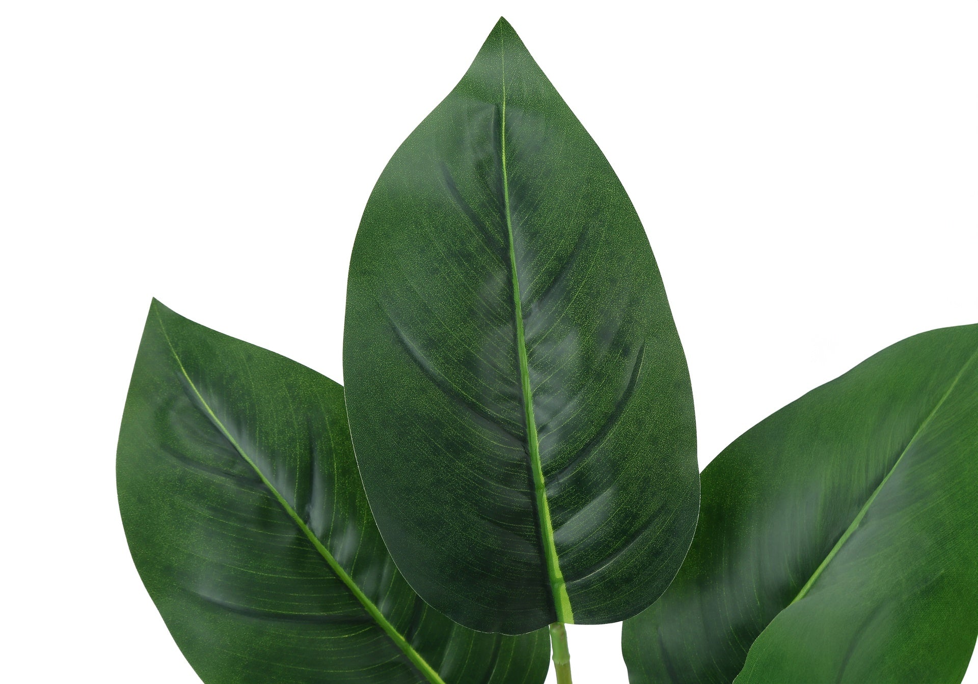 Artificial Plant, 17" Tall, Aureum, Indoor, Faux, Fake, Table, Greenery, Potted, Real Touch, Decorative, Green Leaves, White Pot