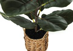 Artificial Plant, 28" Tall, Fiddle Tree, Indoor, Faux, Fake, Floor, Greenery, Potted, Real Touch, Decorative, Green Leaves, Beige Woven Basket