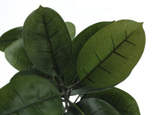 Artificial Plant, 52" Tall, Rubber Tree, Indoor, Faux, Fake, Floor, Greenery, Potted, Real Touch, Decorative, Green Leaves, Black Pot