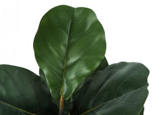 Artificial Plant, 49" Tall, Fiddle Tree, Indoor, Faux, Fake, Floor, Greenery, Potted, Real Touch, Decorative, Green Leaves, Black Pot