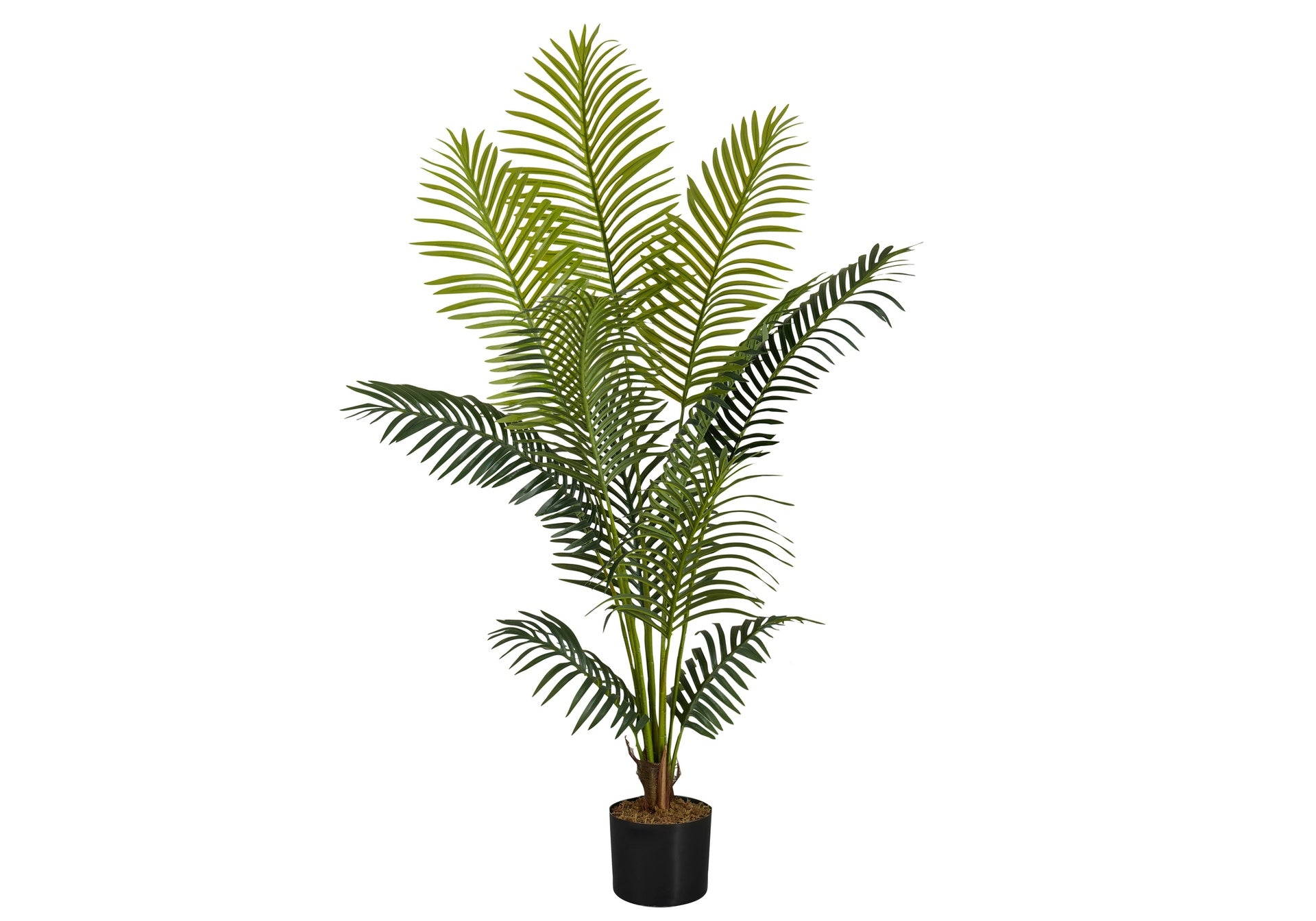 Artificial Plant, 57" Tall, Palm Tree, Indoor, Faux, Fake, Floor, Greenery, Potted, Real Touch, Decorative, Green Leaves, Black Pot