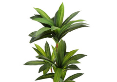 Artificial Plant, 51" Tall, Dracaena Tree, Indoor, Faux, Fake, Floor, Greenery, Potted, Real Touch, Decorative, Green Leaves, Black Pot