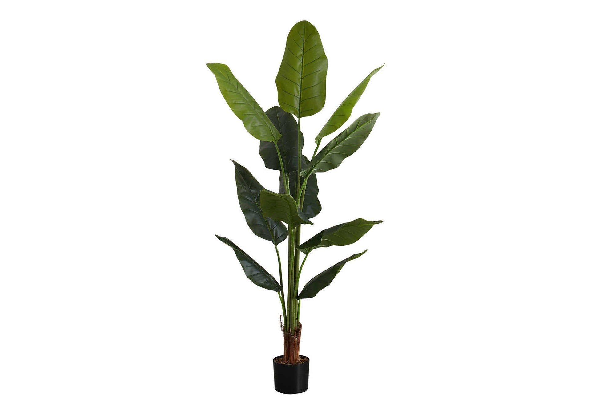 Artificial Plant, 59" Tall, Strelitzia Tree, Indoor, Faux, Fake, Floor, Greenery, Potted, Real Touch, Decorative, Green Leaves, Black Pot