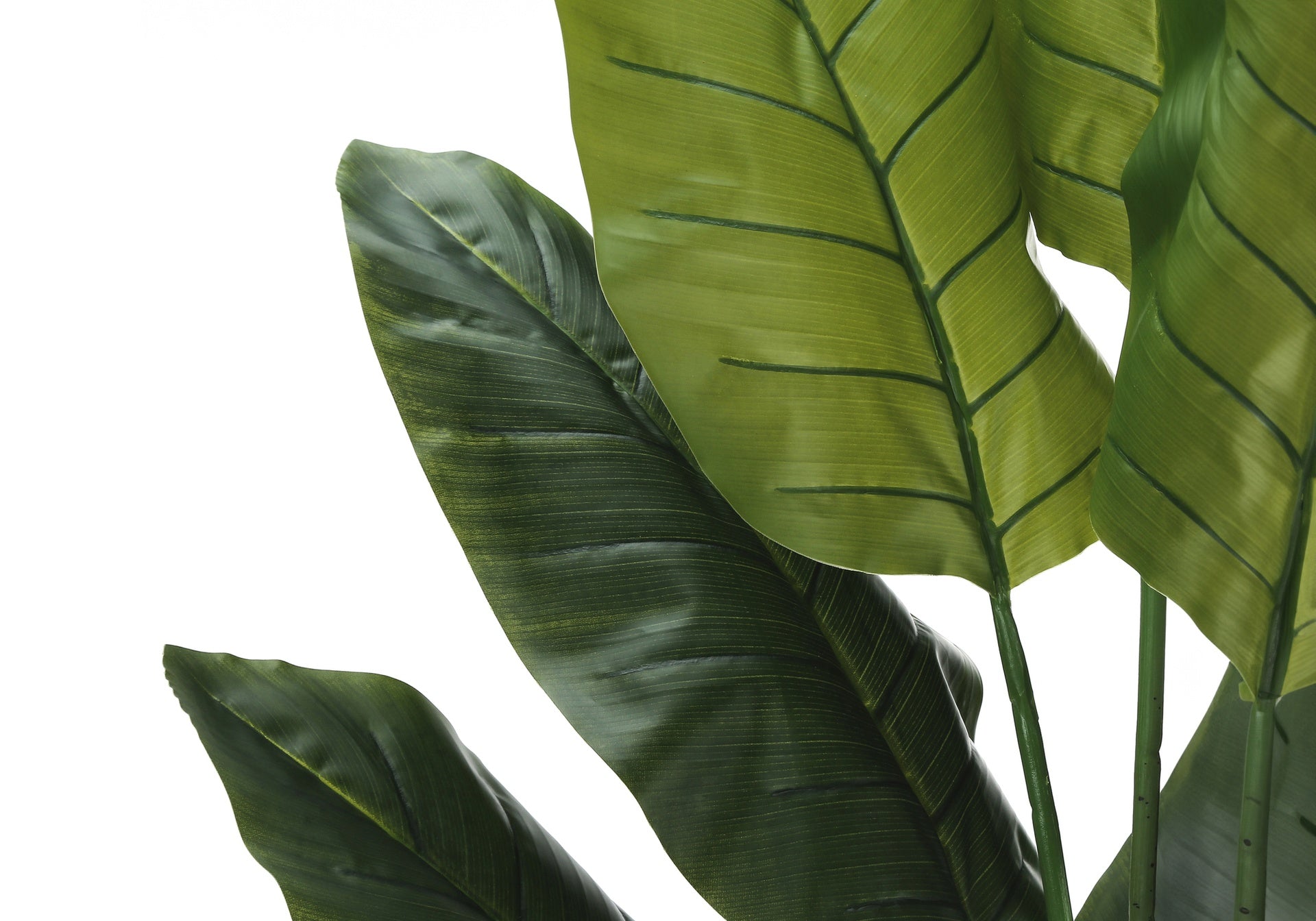 Artificial Plant, 59" Tall, Strelitzia Tree, Indoor, Faux, Fake, Floor, Greenery, Potted, Real Touch, Decorative, Green Leaves, Black Pot