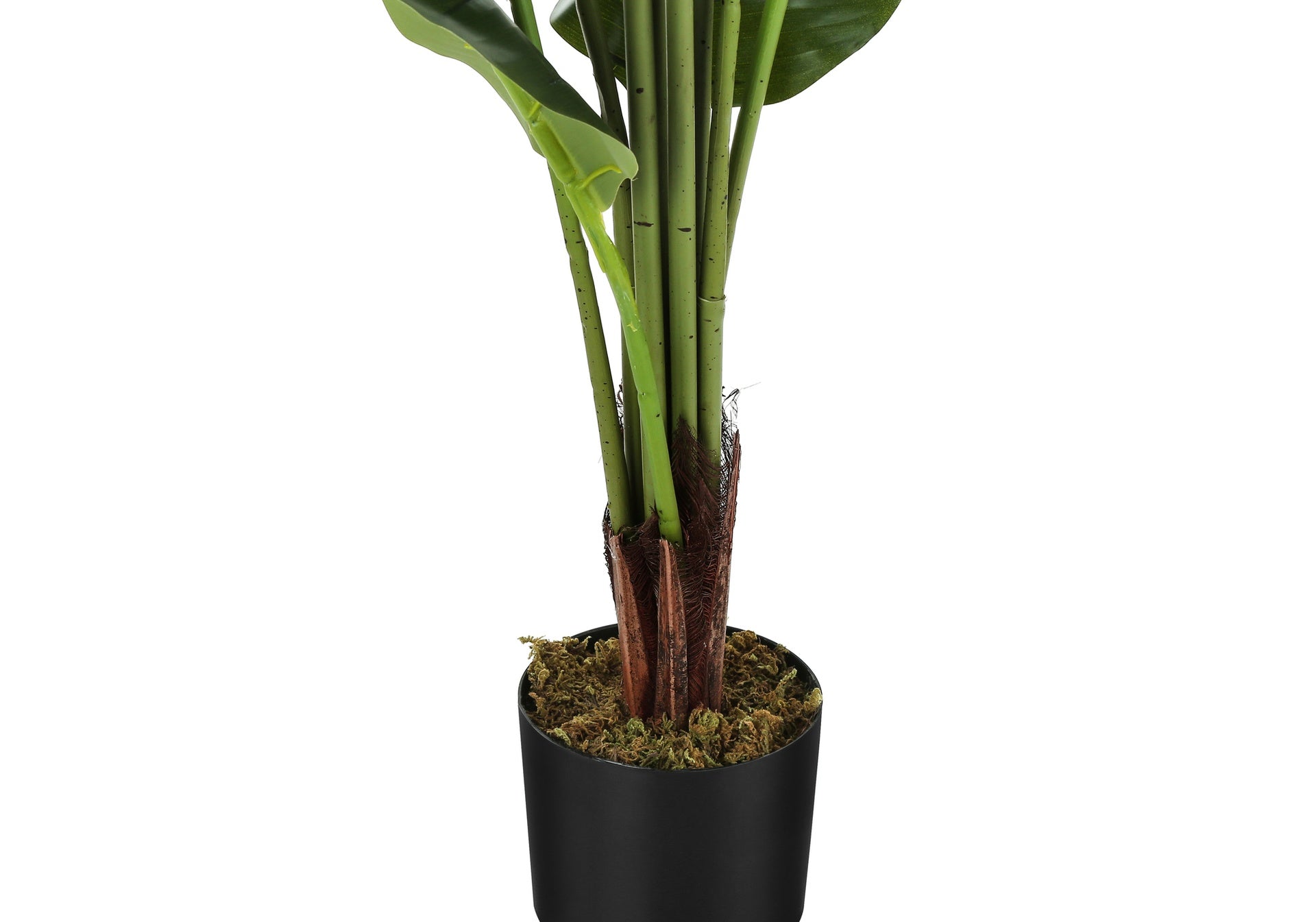 Artificial Plant, 59" Tall, Strelitzia Tree, Indoor, Faux, Fake, Floor, Greenery, Potted, Real Touch, Decorative, Green Leaves, Black Pot