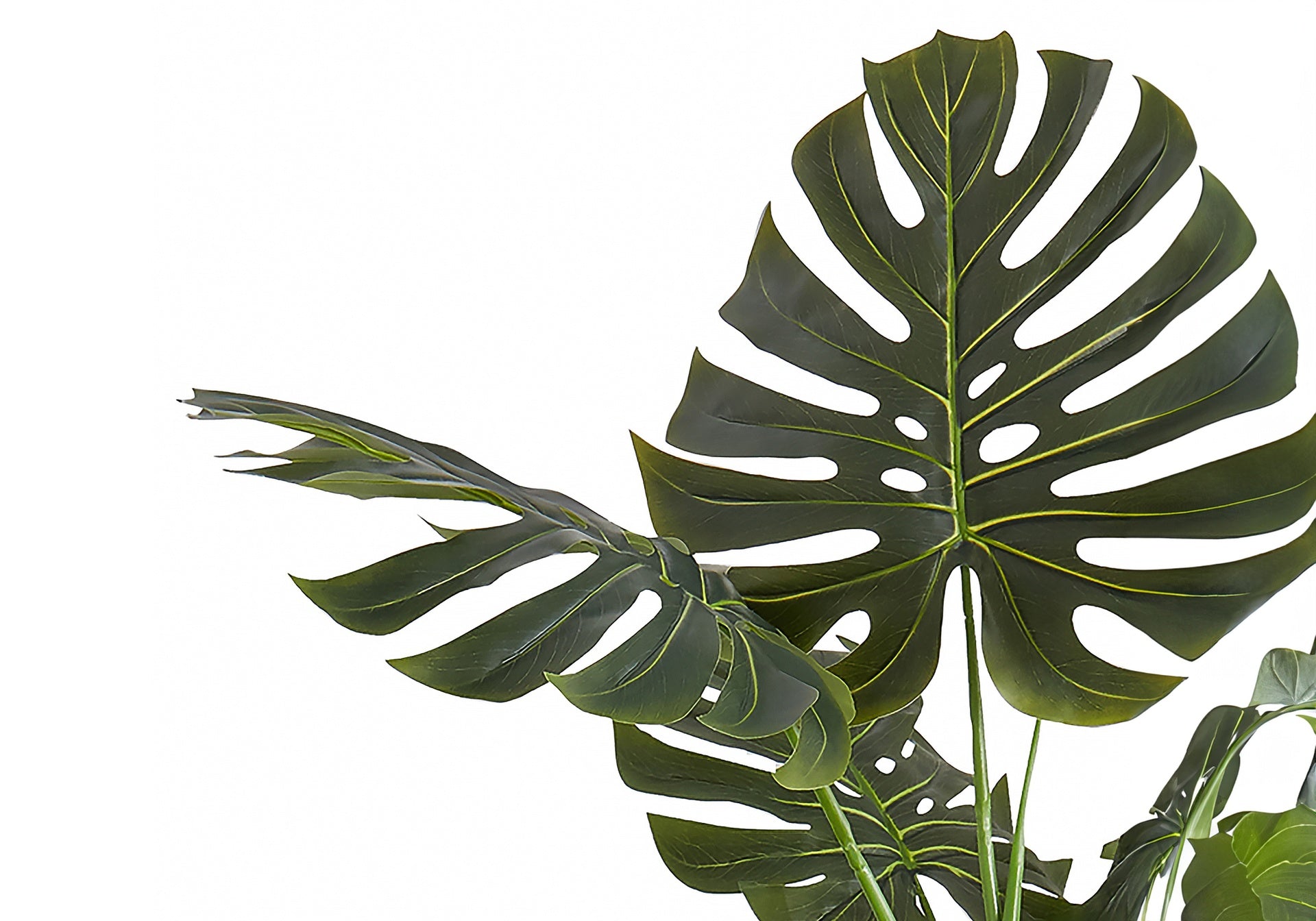 Artificial Plant, 55" Tall, Monstera Tree, Indoor, Faux, Fake, Floor, Greenery, Potted, Real Touch, Decorative, Green Leaves, Black Pot