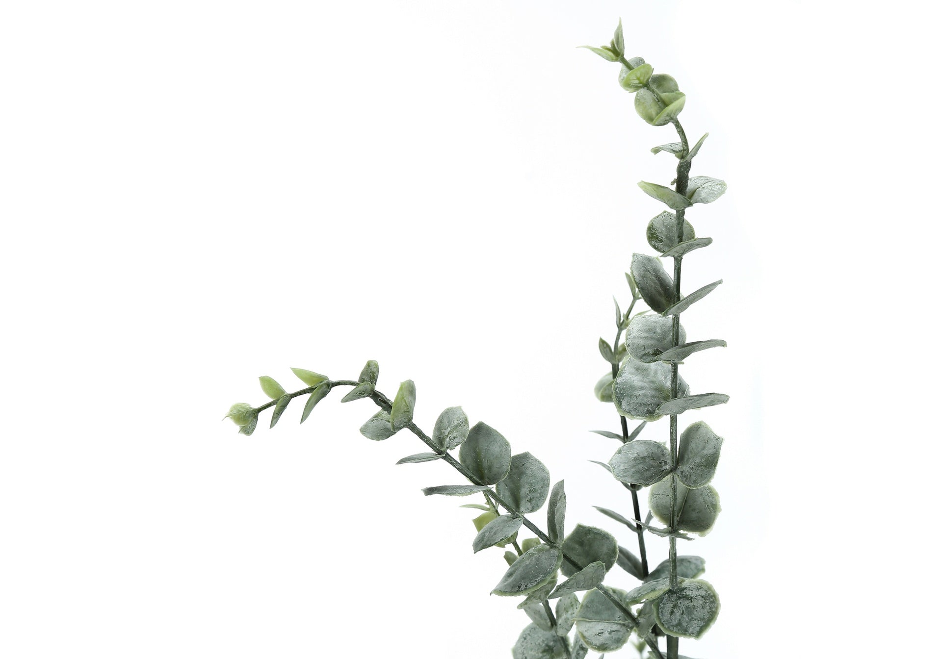Artificial Plant, 44" Tall, Eucalyptus Tree, Indoor, Faux, Fake, Floor, Greenery, Potted, Real Touch, Decorative, Green Leaves, Black Pot