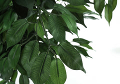 Artificial Plant, 58" Tall, Ficus Tree, Indoor, Faux, Fake, Floor, Greenery, Potted, Decorative, Green Leaves, Black Pot