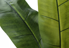 Artificial Plant, 55" Tall, Banana Tree, Indoor, Faux, Fake, Floor, Greenery, Potted, Real Touch, Decorative, Green Leaves, Black Pot