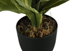 Artificial Plant, 17" Tall, Dracaena, Indoor, Faux, Fake, Table, Greenery, Potted, Real Touch, Decorative, Green Leaves, Black Pot