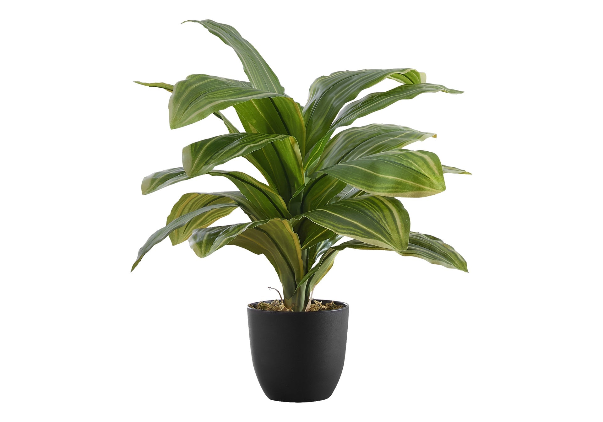 Artificial Plant, 17" Tall, Dracaena, Indoor, Faux, Fake, Table, Greenery, Potted, Real Touch, Decorative, Green Leaves, Black Pot