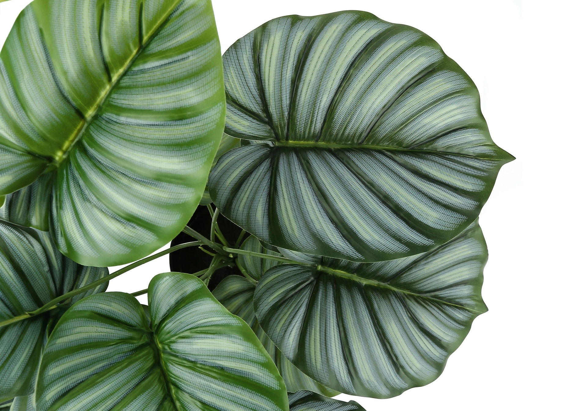 Artificial Plant, 24" Tall, Calathea, Indoor, Faux, Fake, Table, Greenery, Potted, Real Touch, Decorative, Green Leaves, Black Pot