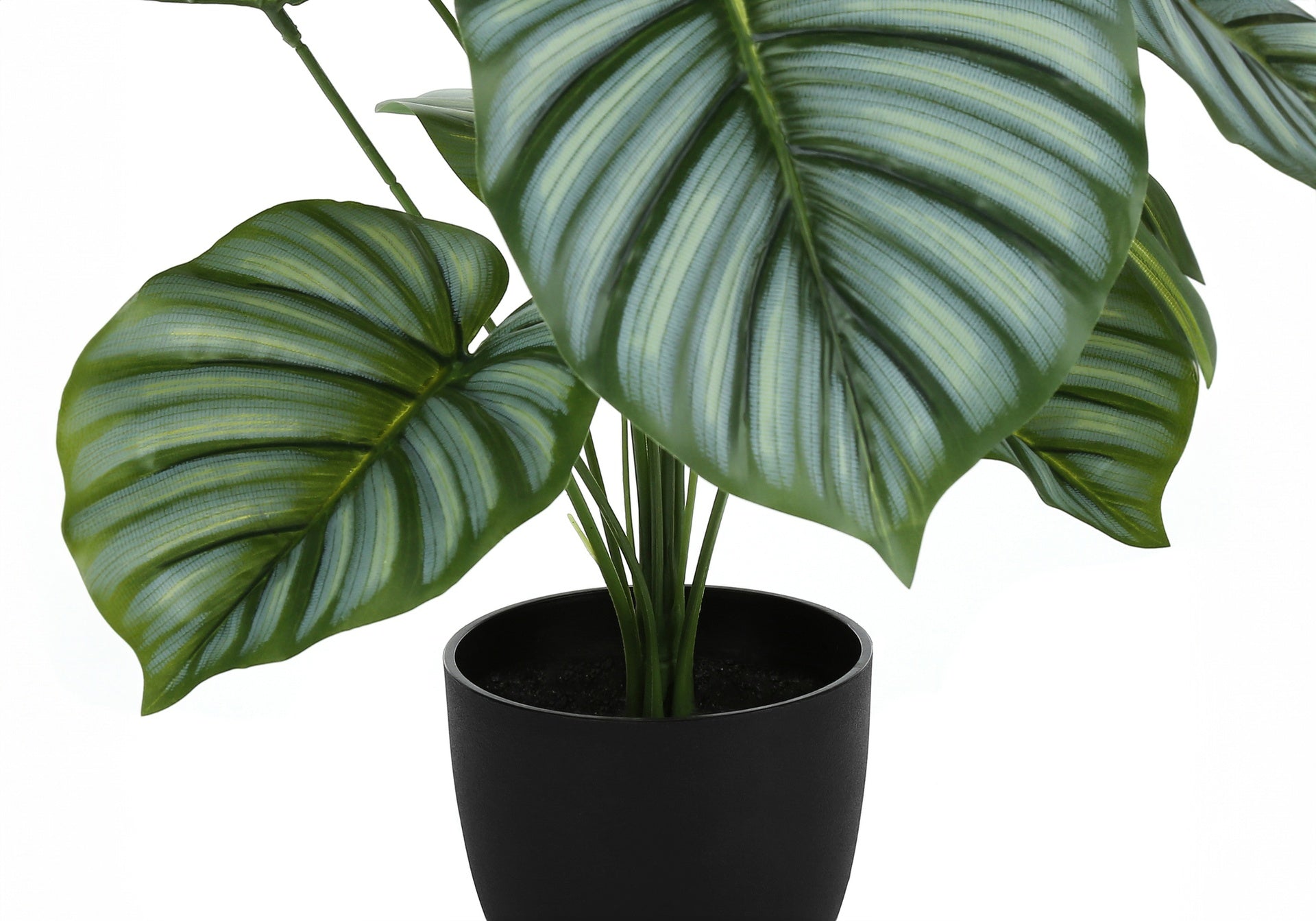 Artificial Plant, 24" Tall, Calathea, Indoor, Faux, Fake, Table, Greenery, Potted, Real Touch, Decorative, Green Leaves, Black Pot