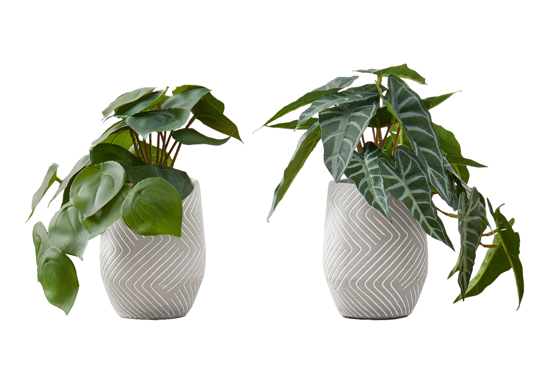 Artificial Plant, 8" Tall, Alocasia, Indoor, Faux, Fake, Table, Greenery, Potted, Set Of 2, Decorative, Green Leaves, White Cement Pots