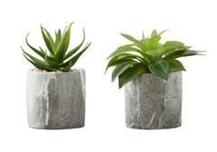 Artificial Plant, 6" Tall, Succulent, Indoor, Faux, Fake, Table, Greenery, Potted, Set Of 2, Decorative, Green Leaves, Grey Cement Pots