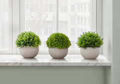 Artificial Plant, 5" Tall, Grass, Indoor, Faux, Fake, Table, Greenery, Potted, Set Of 3, Decorative, Green Plants, Grey Pots