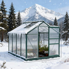 Greenhouse 6' x 8' Outdoor Greenhouse with Rain Gutter and Roof Vent